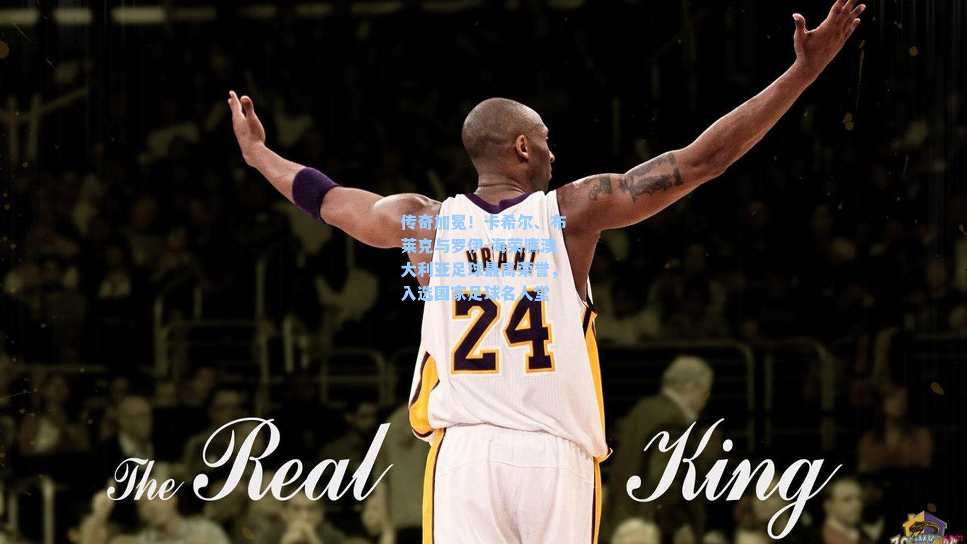 传奇加冕！卡希尔、布莱克与罗伊-海荣膺澳大利亚足球最高荣誉，入选国家足球名人堂