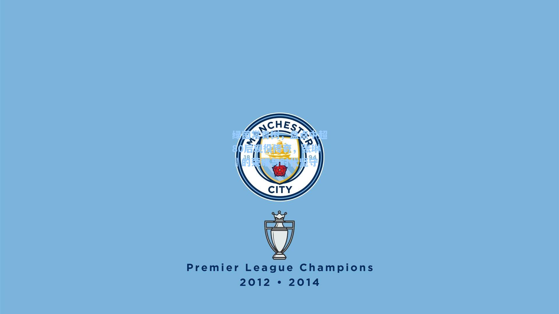 绿茵常青树，盘点中超80后现役传奇，张琳芃的荣耀与时代坚守