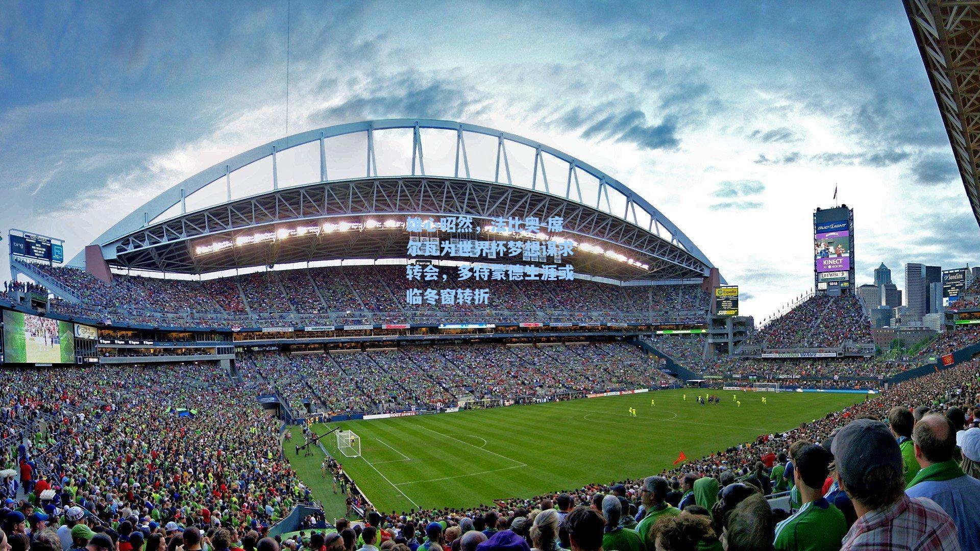 竞技宝-雄心昭然，法比奥-席尔瓦为世界杯梦想谋求转会，多特蒙德生涯或临冬窗转折