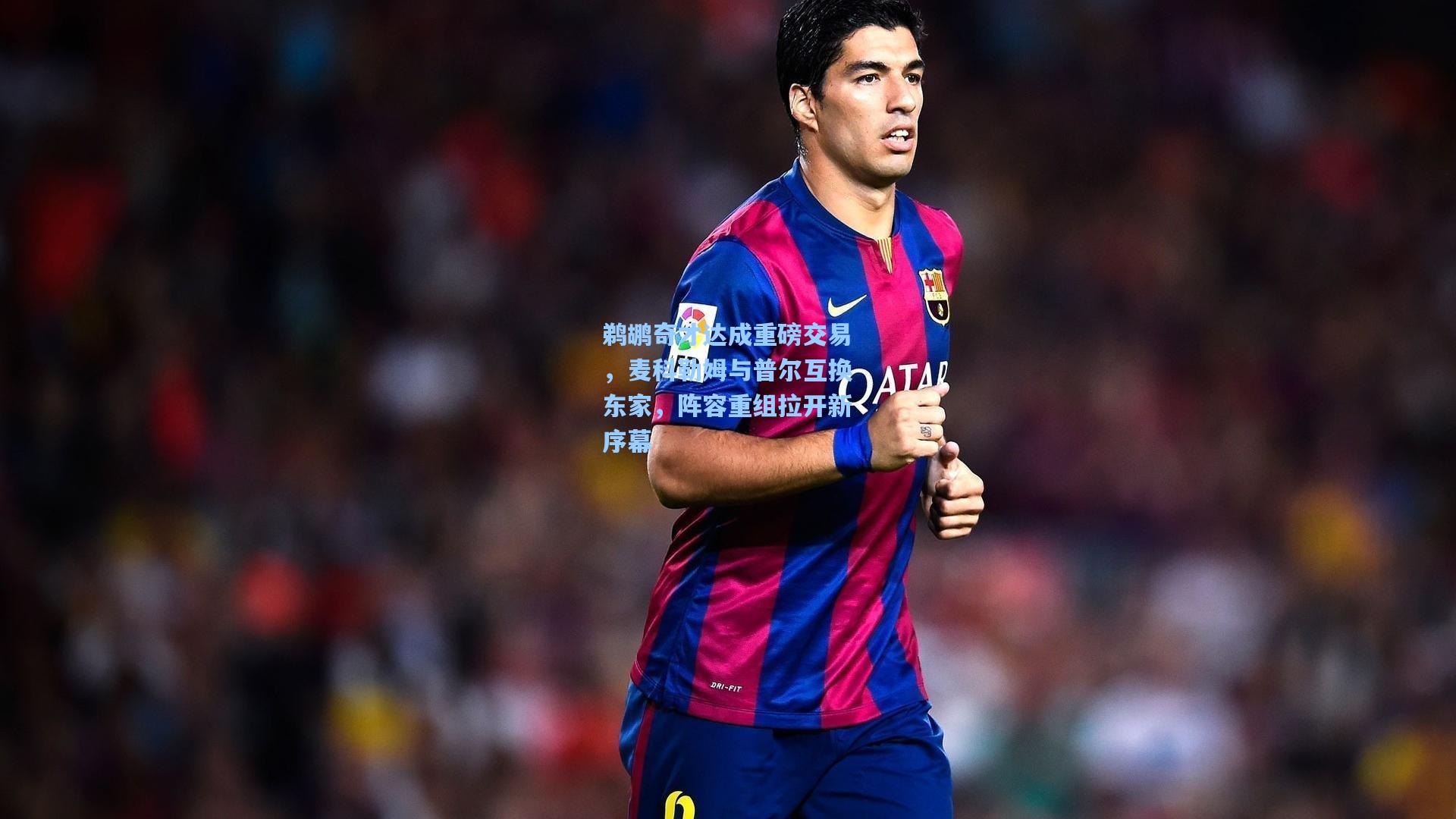 鹈鹕奇才达成重磅交易,麦科勒姆与普尔互换东家,阵容重组拉开新序幕